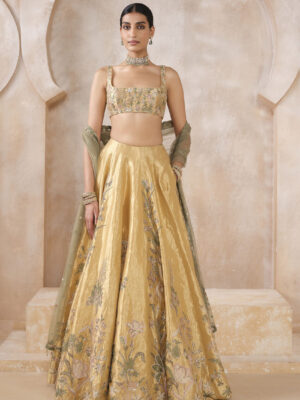 Summerfern Embroidered Lehenga Set - Gold