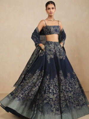 Samah Lehenga Set - Blue