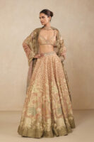 Noora Embroidered Lehenga Set - Blush