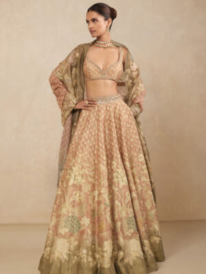 Noora Embroidered Lehenga Set - Blush